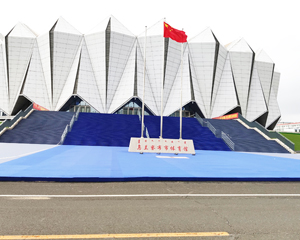 TYSTVideo Assists Ulanqab Grassland Esports Tour Finals